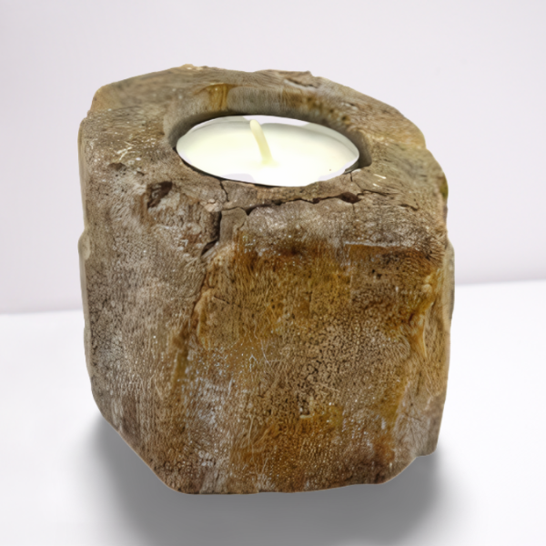 Petrified Wood Candle Holder - Single Low
