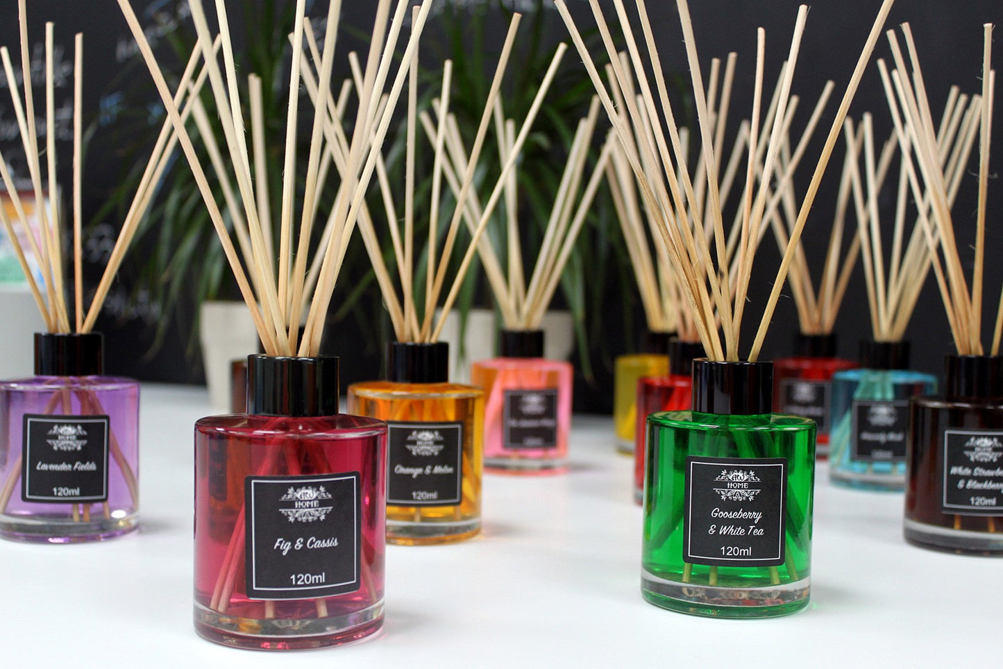 120ml Reed Diffuser -  Heavenly Musk