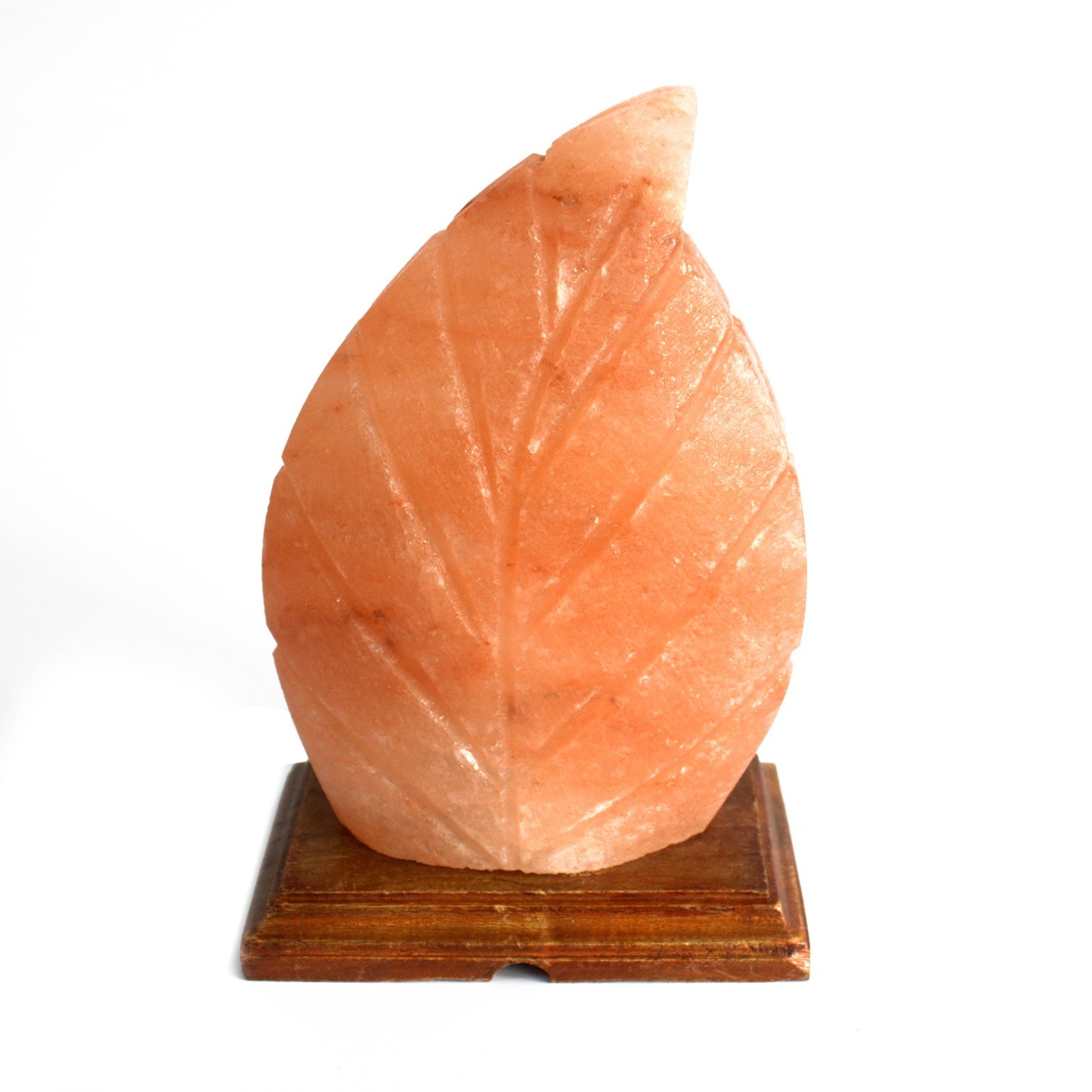 Shape Salt Lamp - Fern