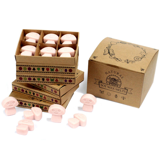 Box of 6  Wax Melts - Old Ginger