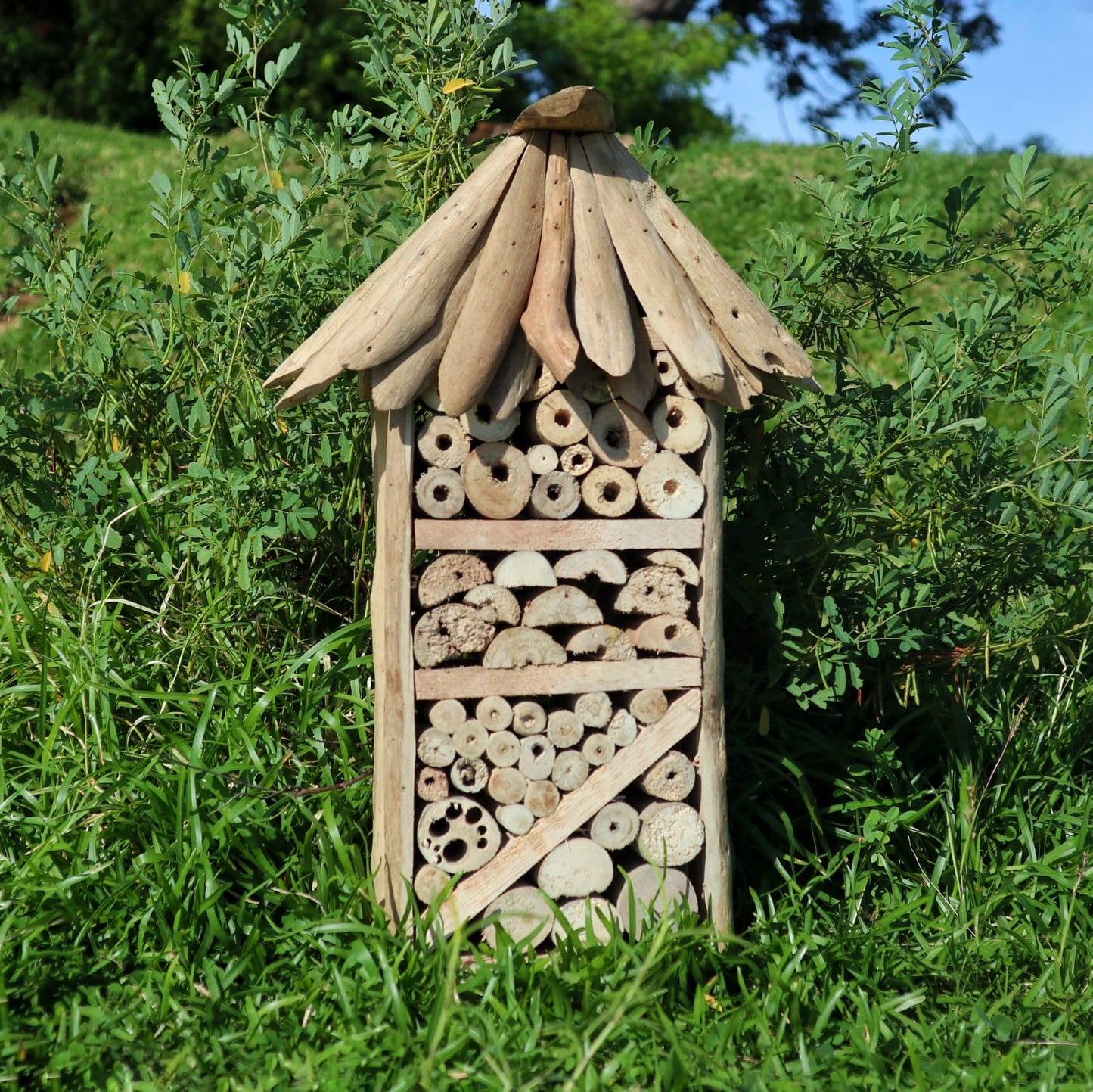 Driftwood Bee & Insect Highrise Box